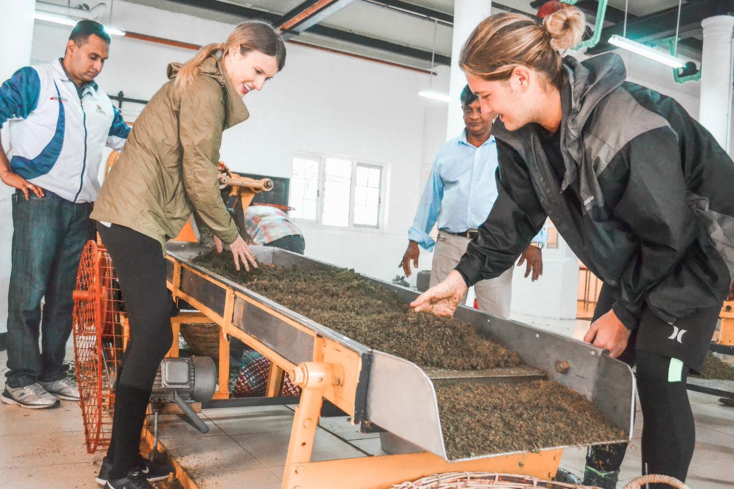 Tea And Experience Factory - Thema Collection Hotell Mandaran Newara Exteriör bild