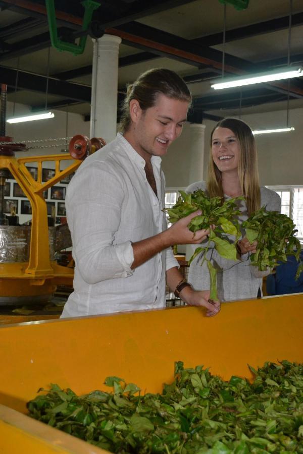 Tea And Experience Factory - Thema Collection Hotell Mandaran Newara Exteriör bild